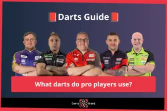 What darts do pro players use?