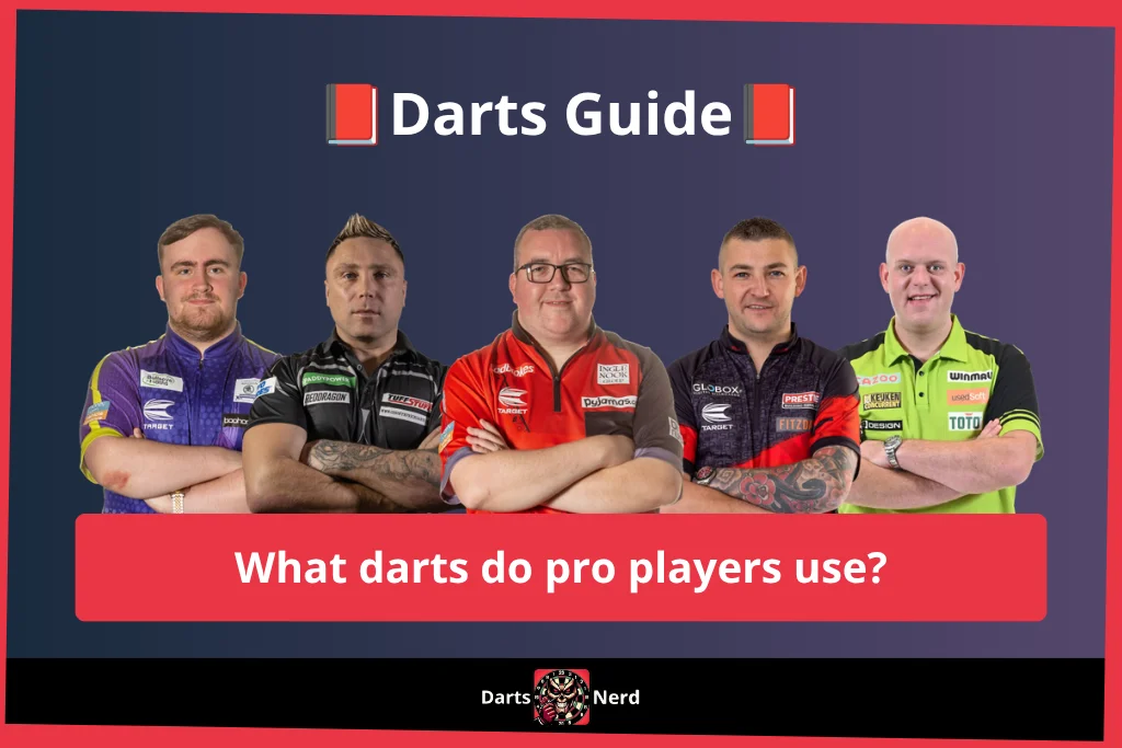 What darts do pro players use?